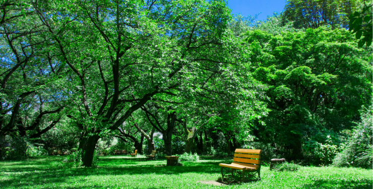 緑豊かな公園にある黄色いベンチ