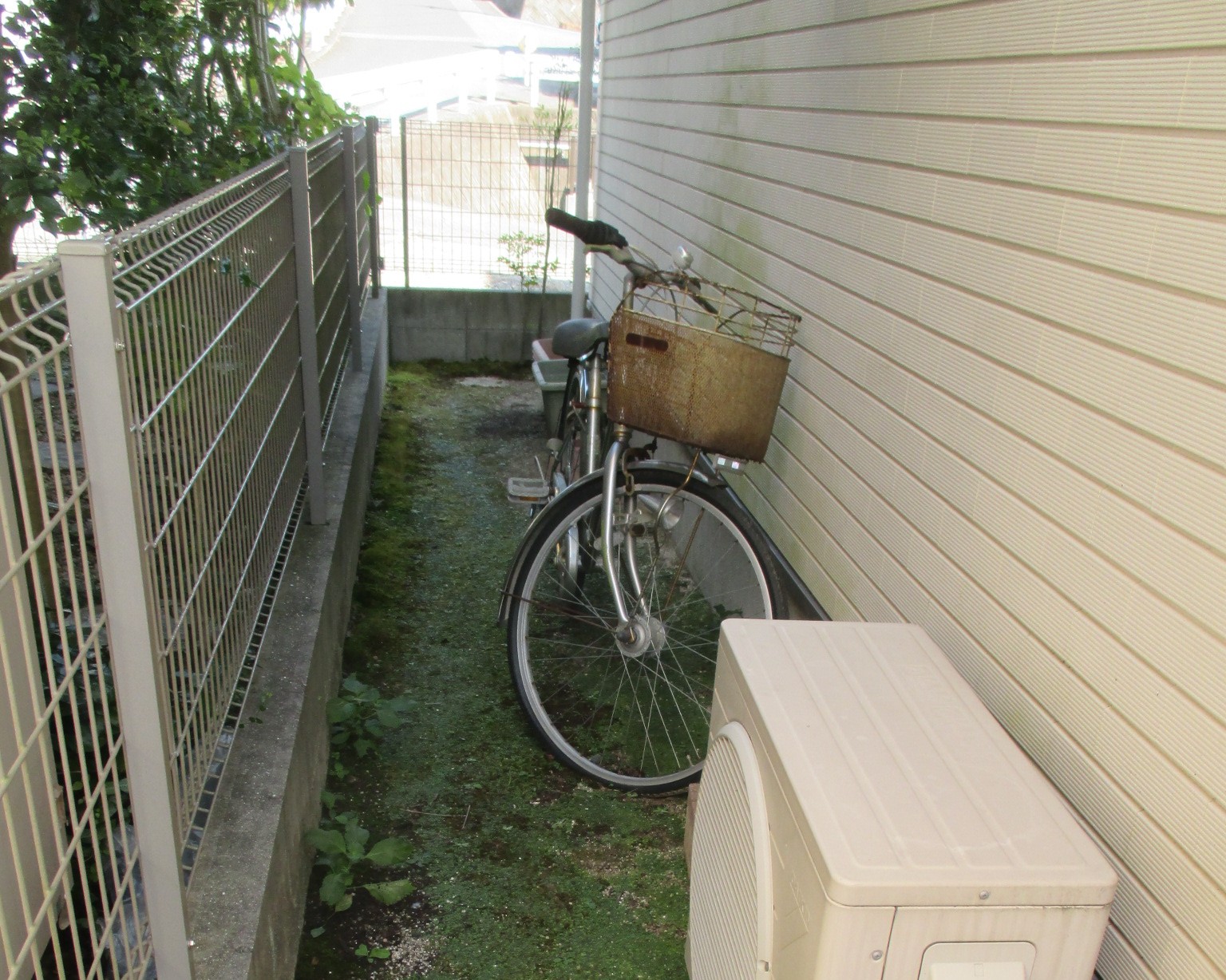 雑草が生えている家横の土間に自転車が置いてある